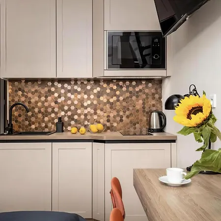 Apartment 77 Wiktoryn Studio *